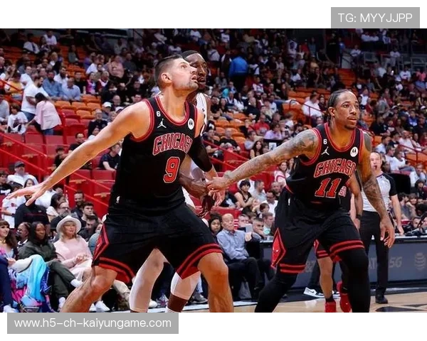 公牛团队内线轮换提升攻防强度