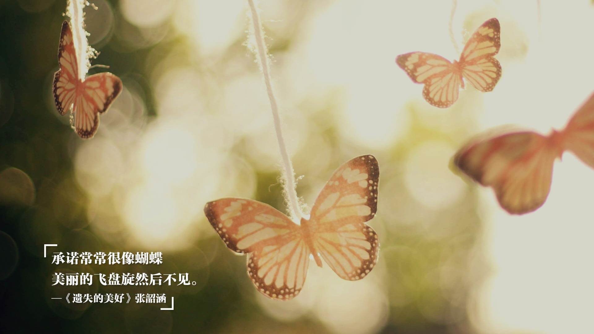 Kaiyun官方登录入口-体育场馆设备维护标准，体育场馆的维护