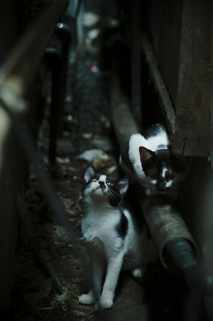 kaiyun网站-三线距离控制决定攻守平衡，三线原则是指什么什么线