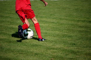 开云中国官网-体育新闻中心发布体育短视频内容运营新策略，体育短视频存在的问题