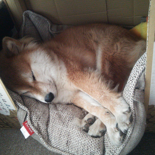 开云电竞入口-国际热身赛国足迎战 技术分析揭示优势，国足热身赛赢过哪些强队