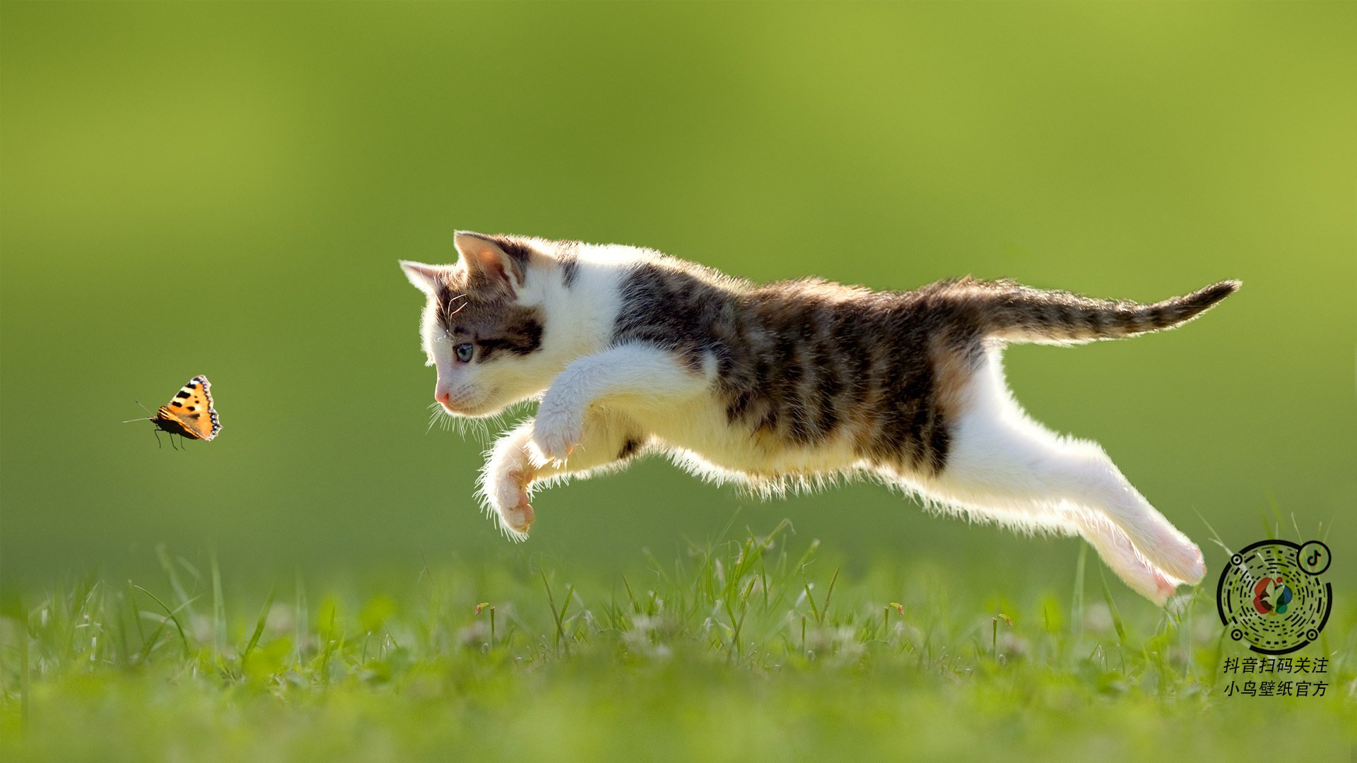 开云体育俱乐部官网-中国足球联赛市场推广力度持续加大，中国足球联赛市场推广力度持续加大的原因