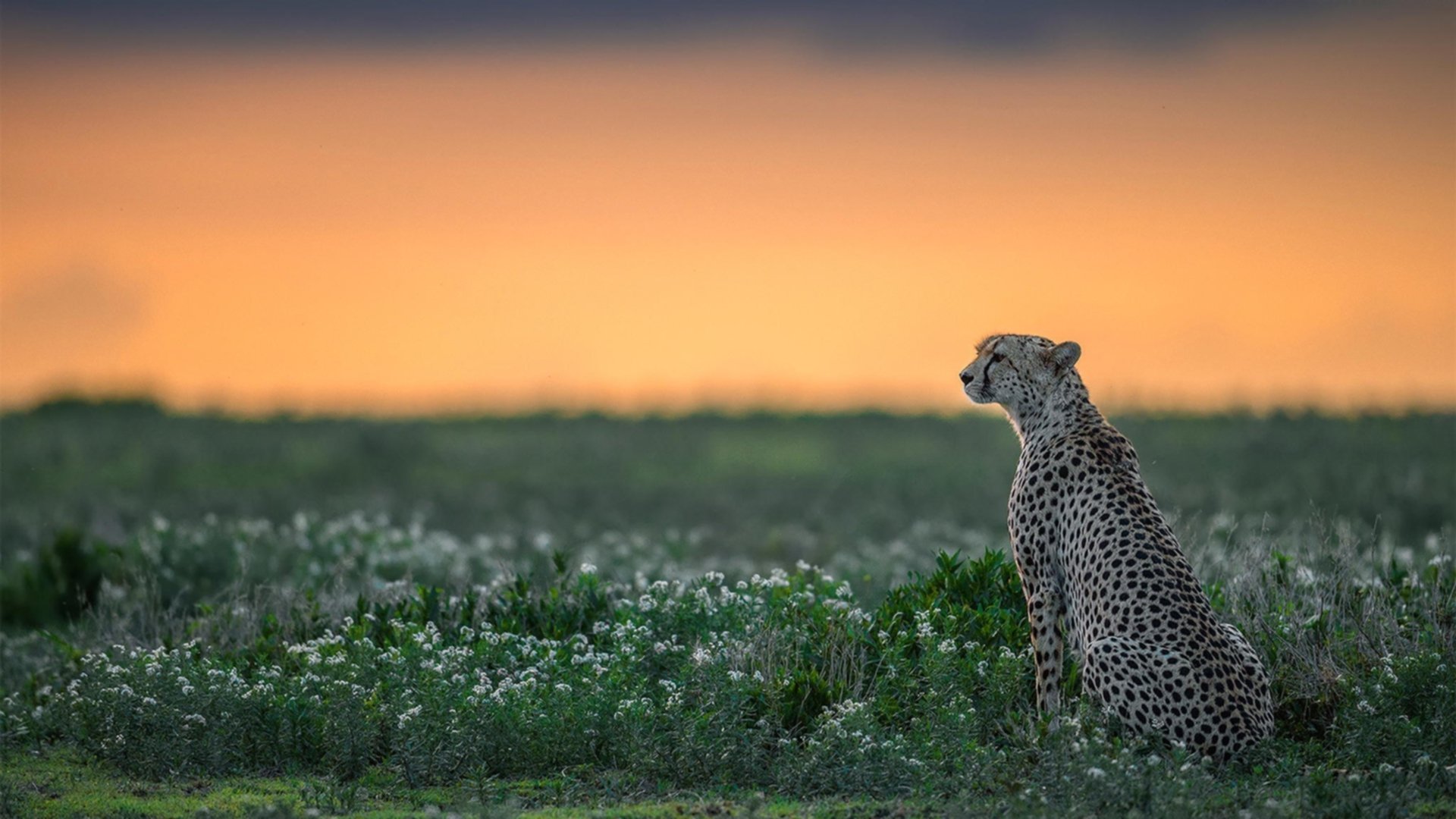 开云·Kaiyun网页版-中超下半赛季看点聚焦榜首之争和保级大战，中超联赛下半程什么时候开始