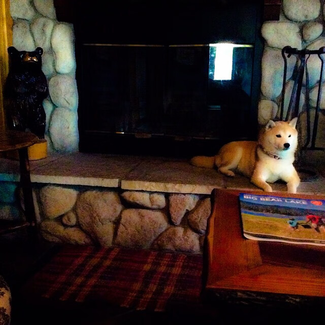 开云综合服务-伊朗女篮在亚洲锦标赛中表现优异，志在奥运